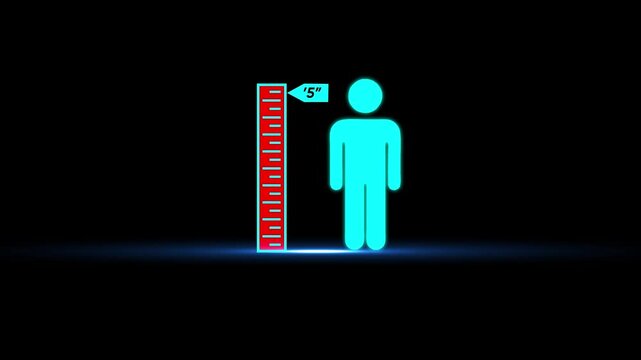 Human height measurement infographic with ruler animation