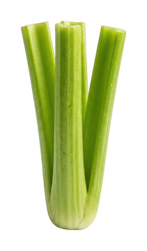 Fresh celery png green celery png raw celery stalk png healthy celery vegetable isolated transparent background image