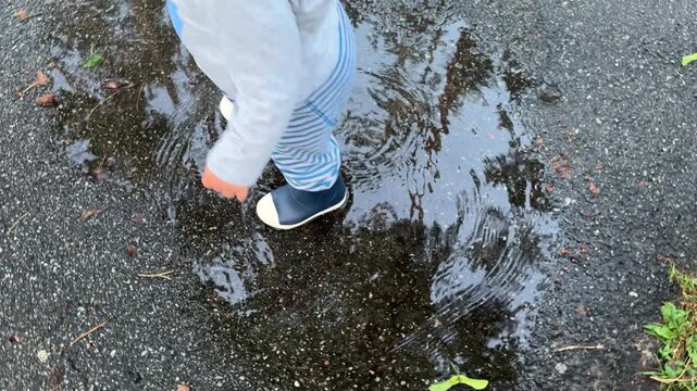 Curious baby boy explores puddles in a park after rain in rubber boots. 4k