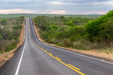 Obraz premium Scenic Paved Road Crossing the Semiarid Caatinga Landscape in the Sertao of Paraiba, Northeast Brazil