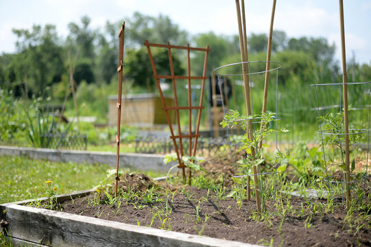 Un jardin communautaire &agrave; Qu&eacute;bec, Canada. Le jardinage &agrave; l'entr&eacute;e du potager. Jardin municipal.