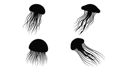 Four Jellyfish Silhouettes In Black And White Illustration Silhouette © MdRakib