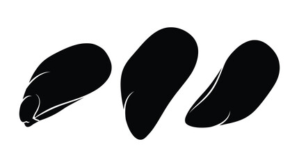 Three mussel shells in black silhouette mussels © MdRakib