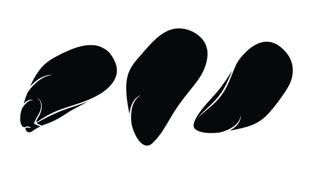 Three mussel shells in black silhouette mussels