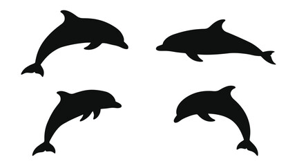 Fototapeta premium Four Dolphin Silhouettes Against A White Background Silhouette