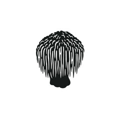 Lions Mane Mushroom Silhouette Icon © Vectiza