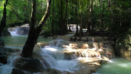 Fototapeten Wald Fluss Flowing river in a lush forest with trees and greenery  © Sergiu