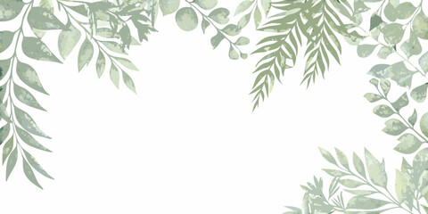 eucalyptus leaf border watercolor green botanical nature © Shabita