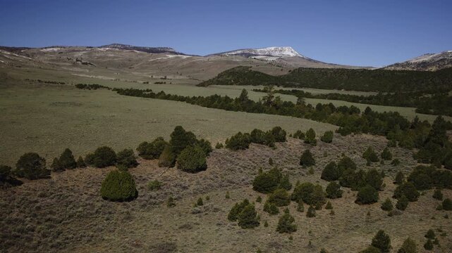 An aerial flyover meadow and trees approaching Hilgard Mountain in the distance, Fishlake, Utah