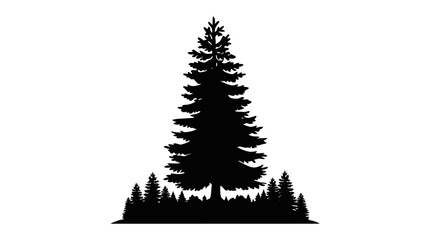 Pine tree silhouette against a white background coniferous forest shape © MD