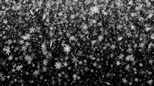 Slow motion abstract footage of delicate white snowflakes falling densely against a dark background