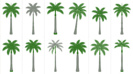 Naklejka premium Collection of Palm Trees, Various Styles and Colors, Vector Graphics