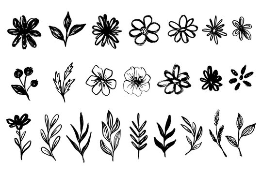 Grunge brush flowers and leaves set. Scribble ink grunge chamomile flowers icons drawn with markers and crayons. Botanical brushstroke textured doodle plants, blossom and branches. Vector Illustration