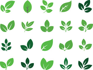 Fototapeta premium set of green leaf icons nature and eco friendly foliage symbols