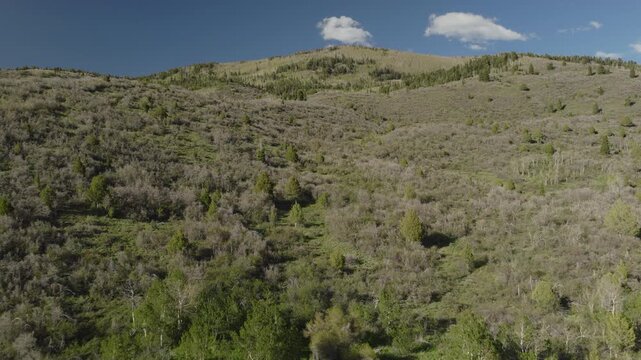 An aerial flyover of foothills near the Uintah mountains, Kamas, Utah