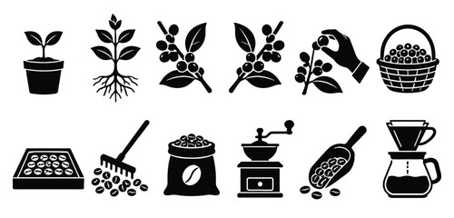 Black and white coffee icons set including plants beans and brewing © Jakia Sultana