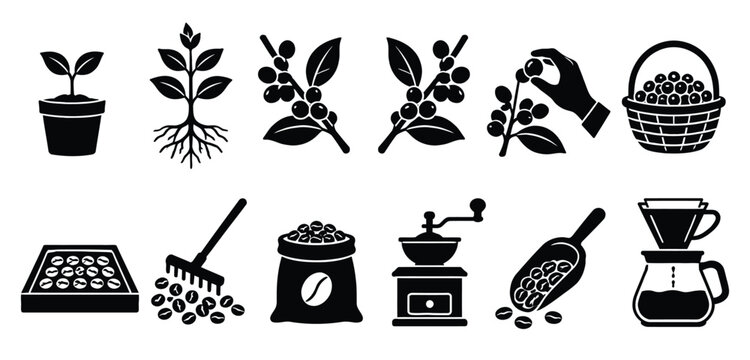 Black and white coffee icons set including plants beans and brewing