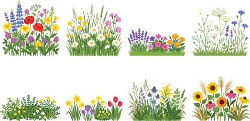 Fototapeta premium Colorful Wildflower Garden Collection with Seasonal Blooms and Green Foliage for Nature Design