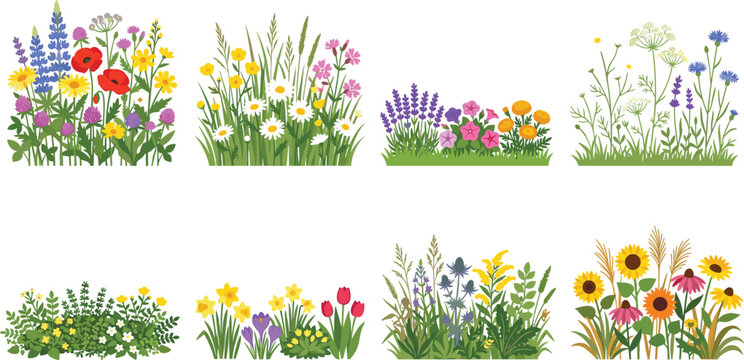Colorful Wildflower Garden Collection with Seasonal Blooms and Green Foliage for Nature Design