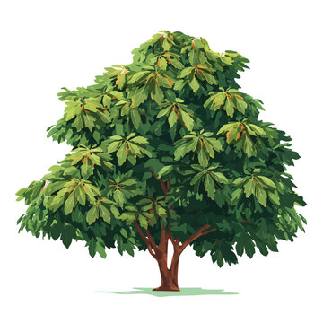 2D flat vector graphic of a Chestnut Tree in icon style, isolated on white background