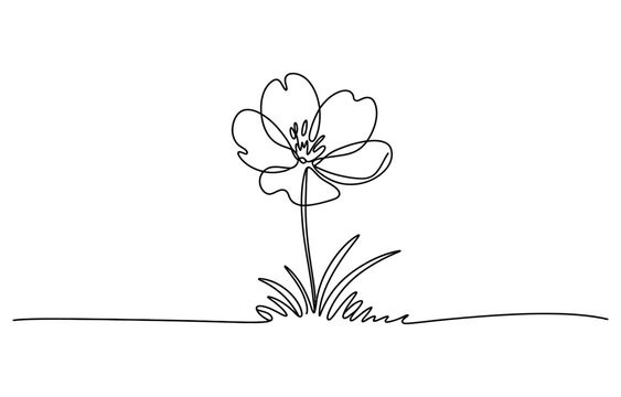 A beautiful simple flower drawing made with one continuous black line showing a delicate blooming plant in the grass Vector, illustration