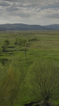 An aerial flyover vertical video of a stream running through marshland and meadows, Kamas, Utah