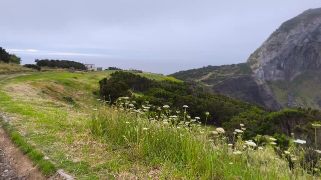 Azores, Faial Island, Portugal. Scenic views from Morro de Castelo Branco featuring dramatic volcanic cliffs, Atlantic coastline, and the natural beauty of the island.