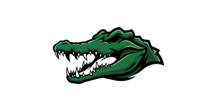 Green alligator head isolated on black background
