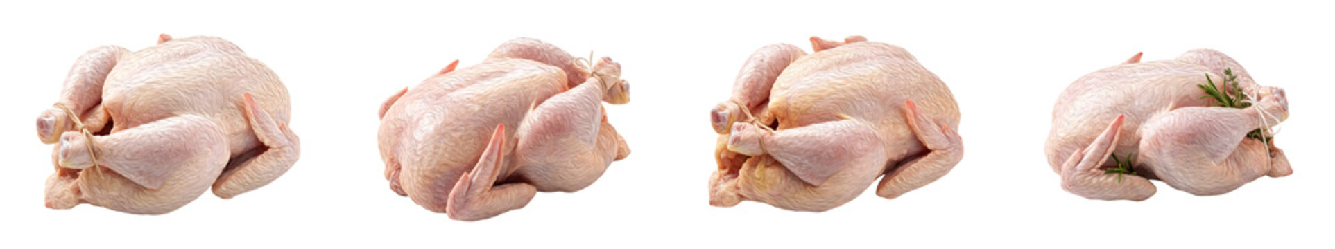 A high quality set of- RAW chicken isolated in white premium background stock PNG file click here .  