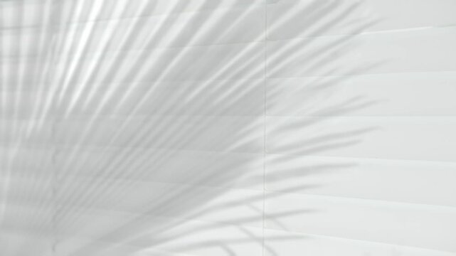 motion of shadow palm leaf in the wind blowing overlay on white wall background, white office blinds, tranquil ambiance workspace, relaxation and calm, background for Product, logo video showcase