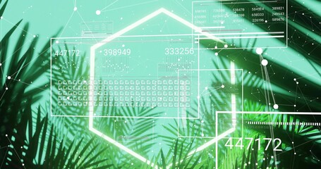 Central hexagon appearing over palm fronds, key matrix forming and numbers updating, showing data © vectorfusionart