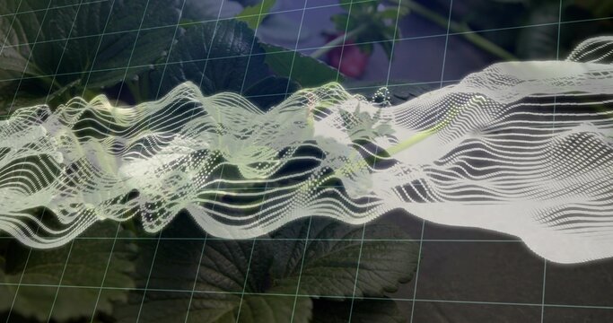 On play sheer waveform ribbon evolving over plants, aligning highlights near pink bud for design