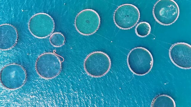 Aerial top down view of a sea fish farm in Corfu, Greece