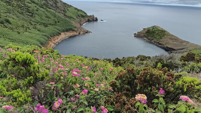 Azores, Faial Island, Portugal. Panoramic views from Monte da Guia Viewpoint overlooking the Atlantic Ocean, volcanic coastline, and the scenic island landscape.