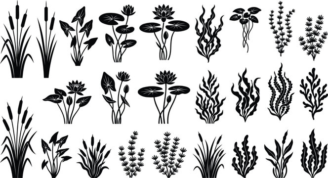 Set of black silhouette aquatic plants and water flowers