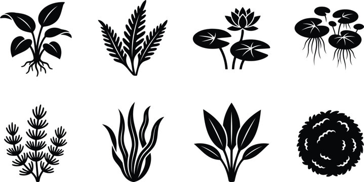 Set of black aquatic plant icons for nature design