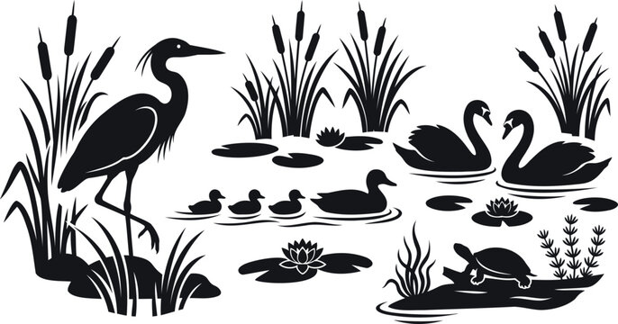 Black silhouette of birds and turtle in a pond with reeds