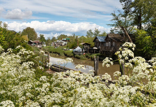 Canada, BC, Richmond.  Finn Slough, a much photographed, off-the-grid, residential community on a tidal tributary to the Fraser River.  