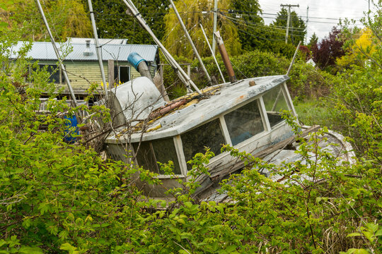 Canada, BC, Richmond.  Abandoned, derelict fishing boat in the marsh at riverside settlement of Finn Slough.  Fraser River Estuary.  20km south of Vancouver.
