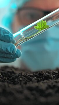 A scientist in a laboratory holds a test tube containing a growing plant, examining its development stages, while a laboratory assistant watches nearby, both engaged in a controlled growth study