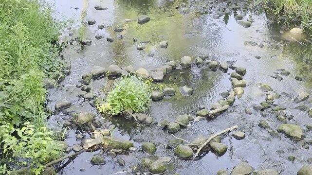 
serce w wodzie w pałacu w radziejowicach
"Heart in the Water" at the Radziejowice Palace