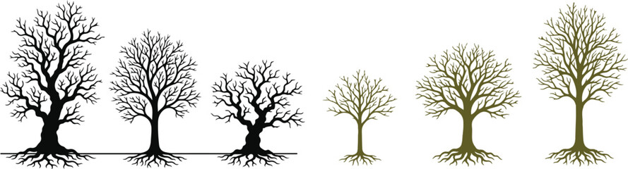 Fototapeta premium Tree life cycle illustration bare branches to full foliage vector graphic series on white background.
