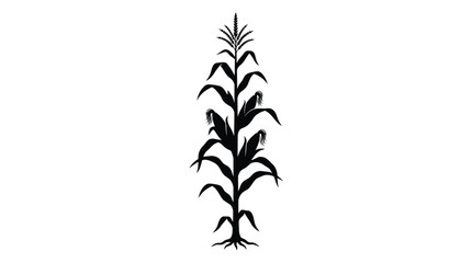 Corn Plant Silhouette A Detailed Black Vector Illustration © Sakilcreative 