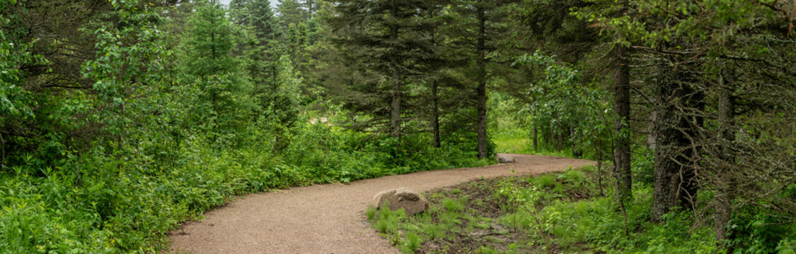 Gently curving park walking trail through a green northern forest creating a peaceful setting
