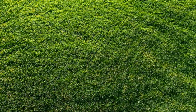 vibrant green grass texture from an aerial perspective showing a healthy and well maintained lawn surface