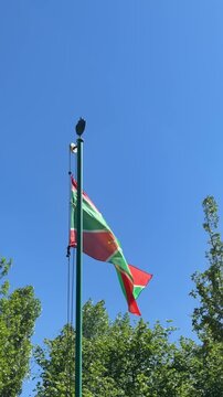 Basque Flag Fluttering: A proud Basque flag with its vibrant green cross and red fields dances in the wind against a clear blue sky, framed by lush green trees.