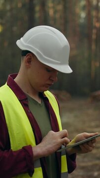 Senior lumberjack engineer wearing protective helmet and bright safety vest stands in forest clearing, holding a tablet that displays data on the trees cut in this sector, overseeing logging activity