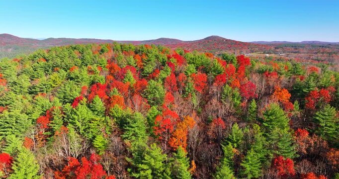 Fall season in Appalachian mountains with dense forest canopies. Colorful woodland landscape in autumn.