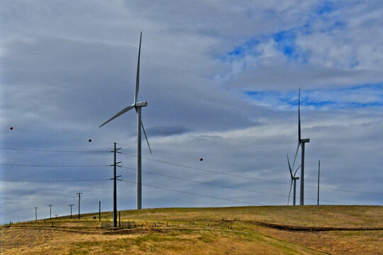 Giant Electrical Pylon dwarfed by new Wind Turbines, Altamont Pass, California 
