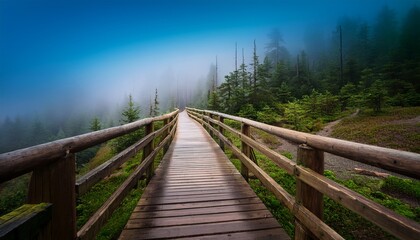 Fototapeta premium wooden walkway descends into a misty green mountain forest